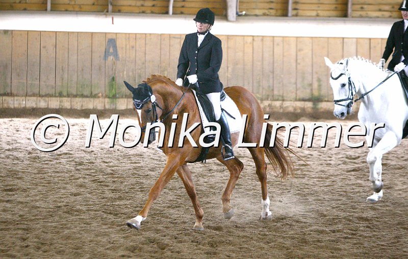 006M5128_Dressur A_e.JPG